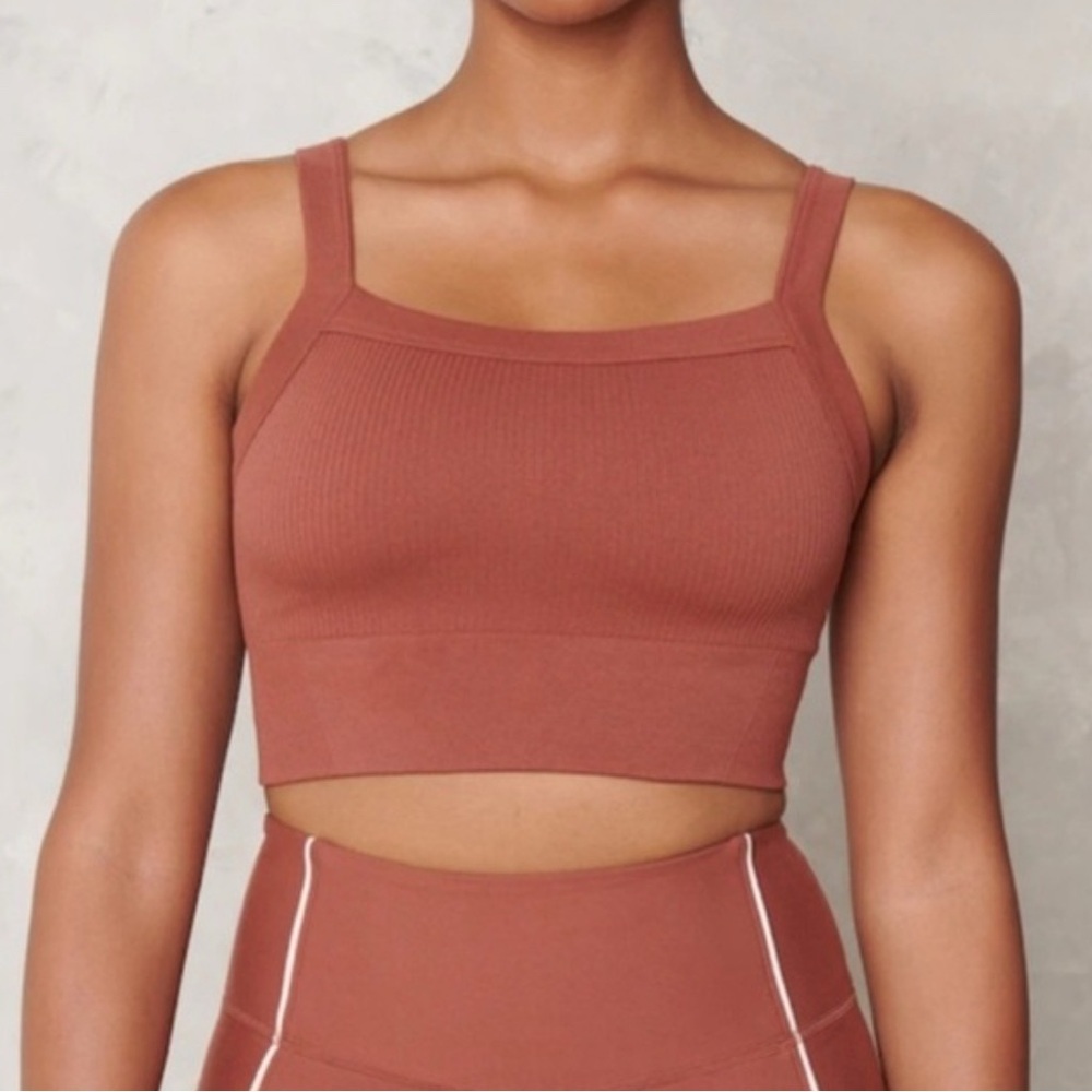 Abercrombie & Fitch Rust Crop Top